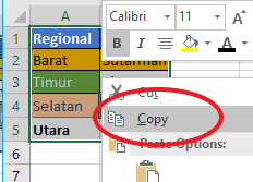 Copy Paste Copy Paste